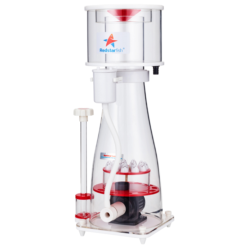Marine Aquarium With Sump - 110-240V 붉은 불가사리 수족관 내부 단백질
