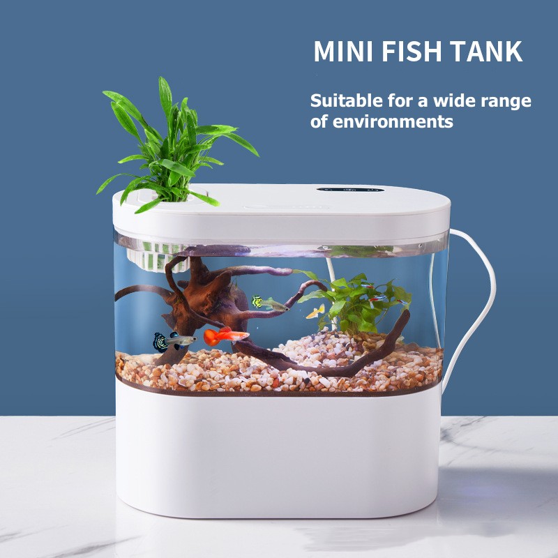 Marine Aquarium With Sump - 미니 데스크탑 수족관 생화학 여과 시스템과