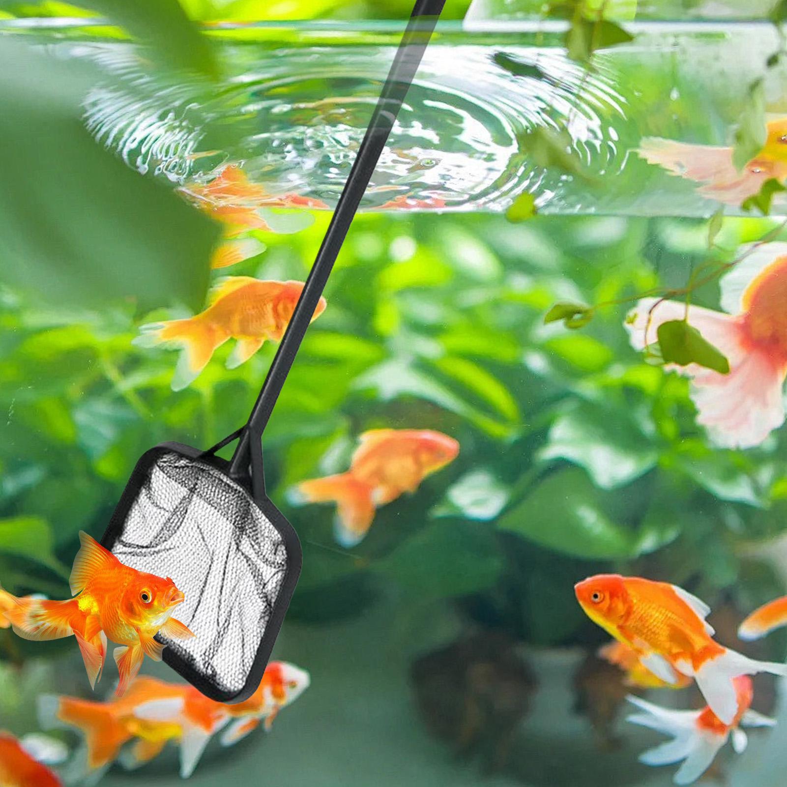 휴대용 수영장 청소용 그물망, 분수 청소용품, 수족관/ - Aquarium Marine 리뷰 및 가격