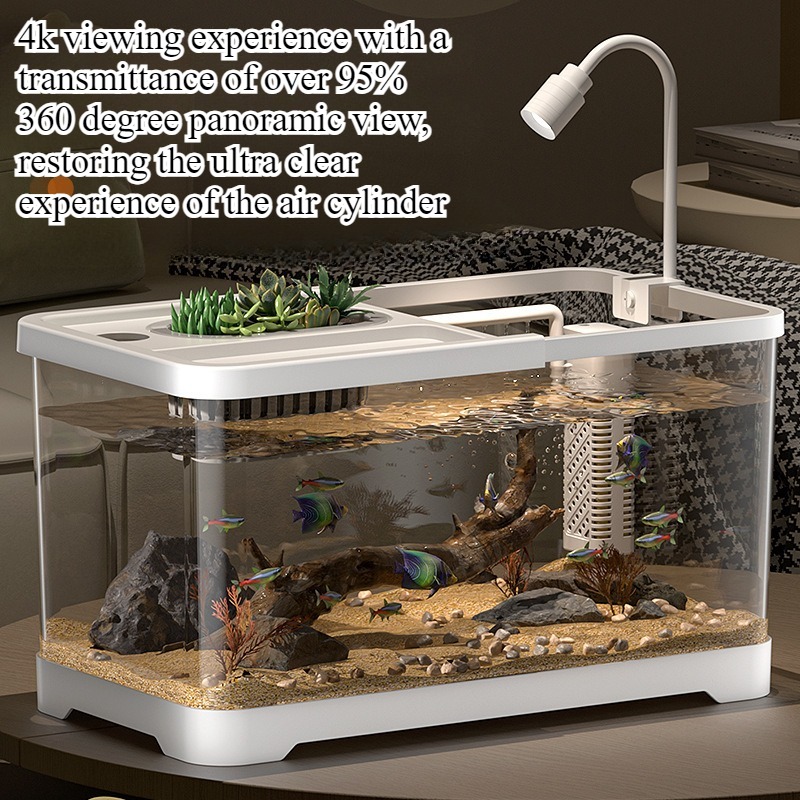 어항 가정용 수족관 거실 탁상용 생태 순환 탱크 필터  - Marine Aquarium With Sump 리뷰 및 가격
