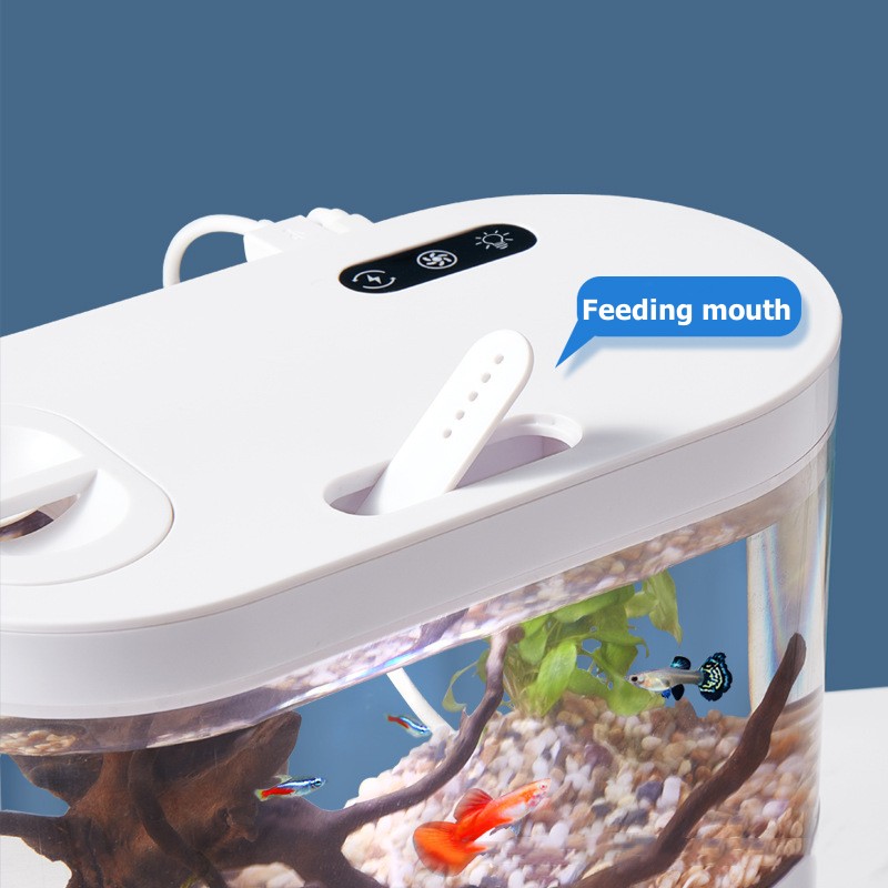 미니 데스크탑 수족관 생화학 여과 시스템과 LED 무교 - Marine Aquarium With Sump 리뷰 및 가격