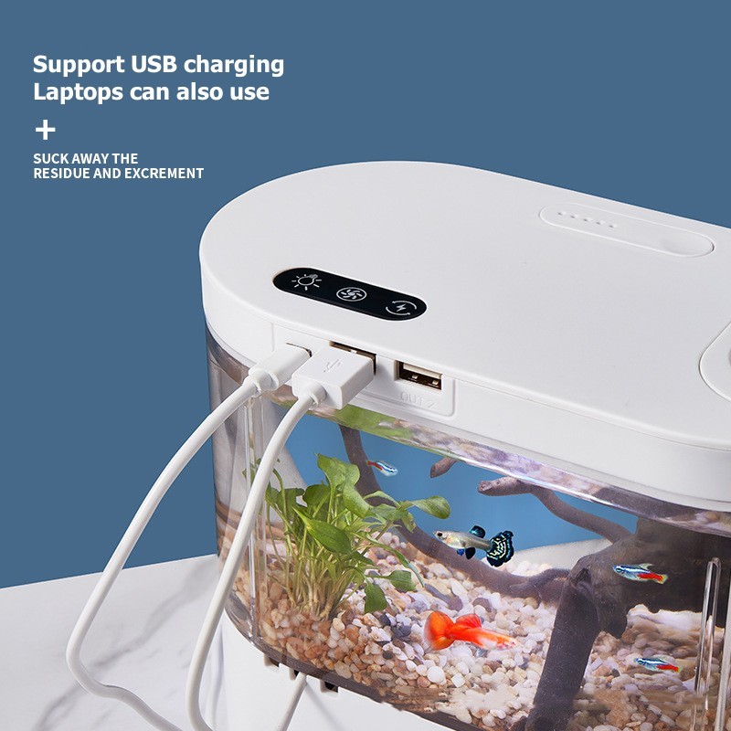 미니 데스크탑 수족관 생화학 여과 시스템과 LED 무교 - Marine Aquarium With Sump 리뷰 및 가격