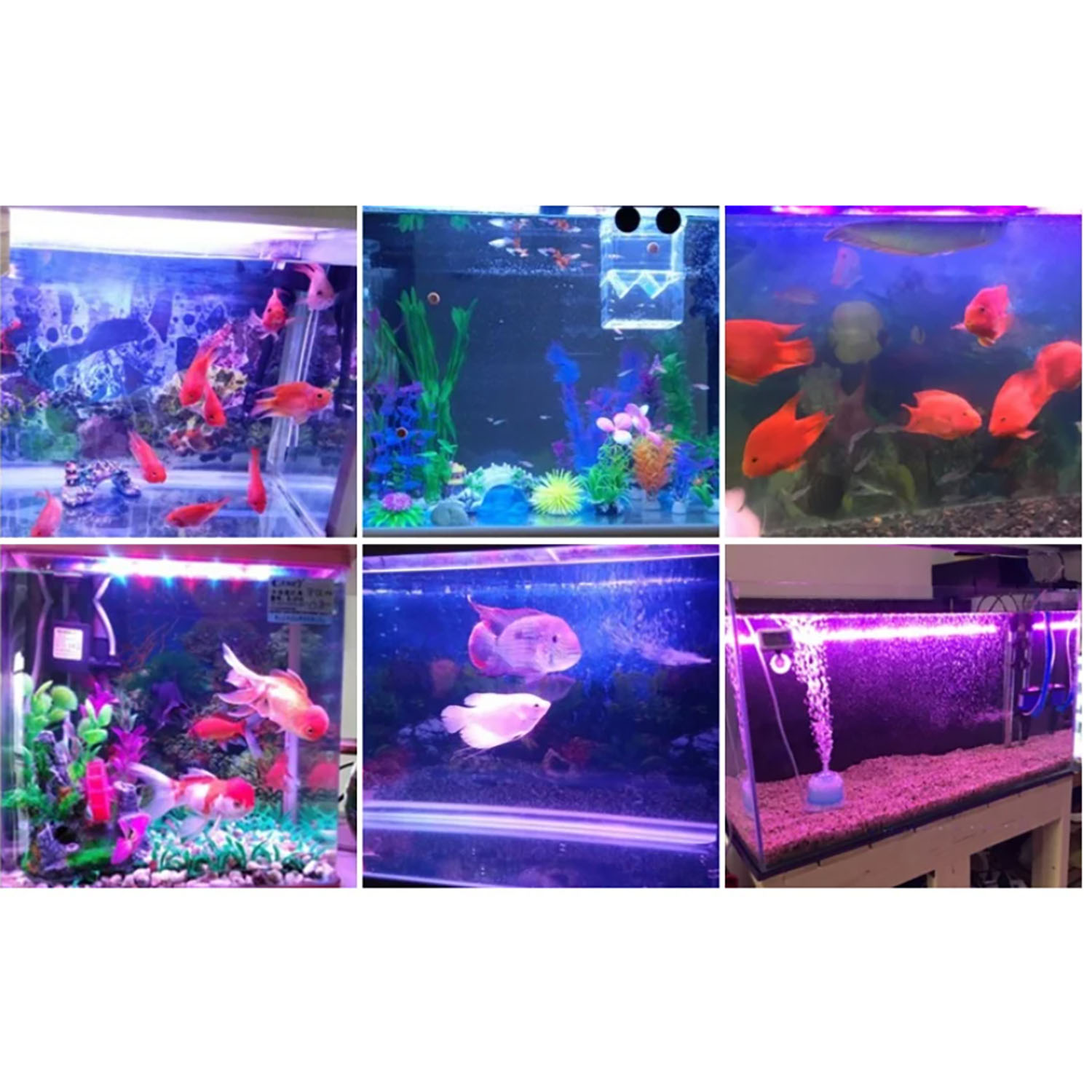 50W 60W 70W 100W RGB 26-28V 고출 - Marine Aquarium Uv 리뷰 및 가격