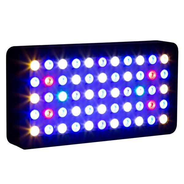 3W 칩 LED 수족관용 프로그래밍 가능 산호초 LED - Marine Aquarium Used 리뷰 및 가격