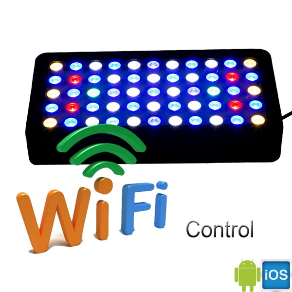 3W 칩 LED 수족관용 프로그래밍 가능 산호초 LED - Marine Aquarium Used 리뷰 및 가격