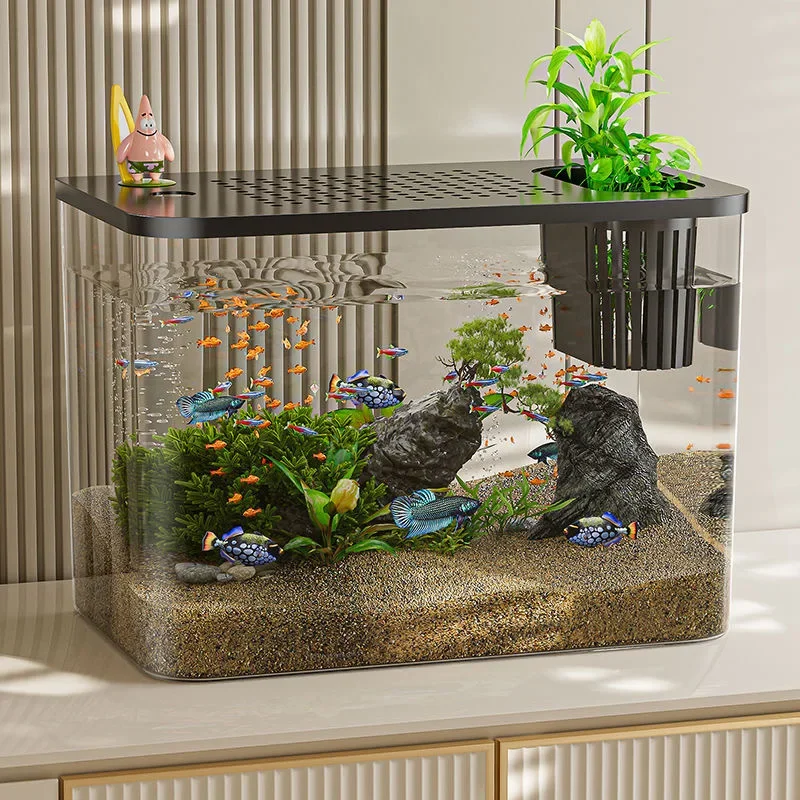 PET + ABS 물고기 탱크 뚜껑이있는 새로운 투명한 - Marine Aquarium With Sump 리뷰 및 가격