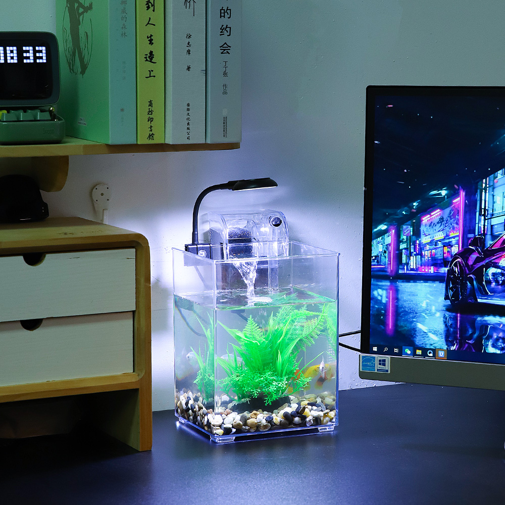 USB 데스크탑 어항 세트, 간편한 설치, 음소거, 침 - Marine Aquarium With Sump 리뷰 및 가격