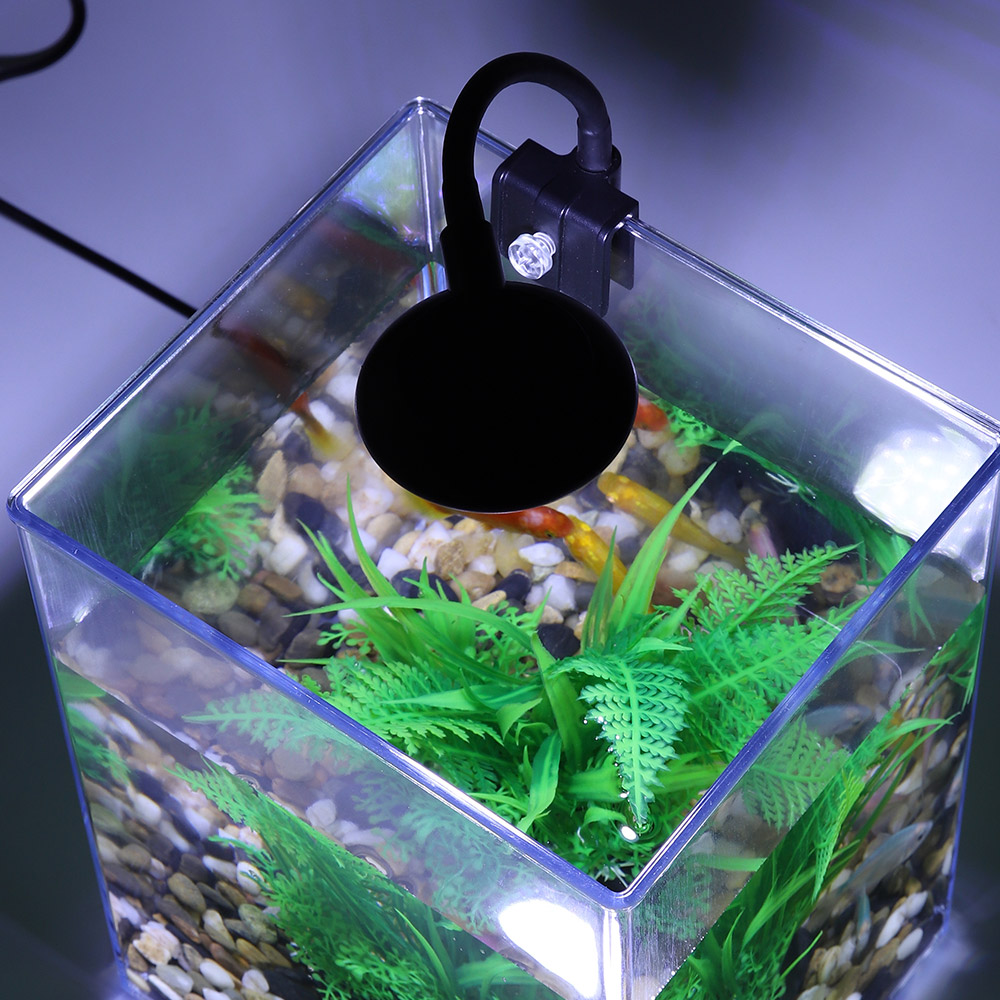 USB 데스크탑 어항 세트, 간편한 설치, 음소거, 침 - Marine Aquarium With Sump 리뷰 및 가격
