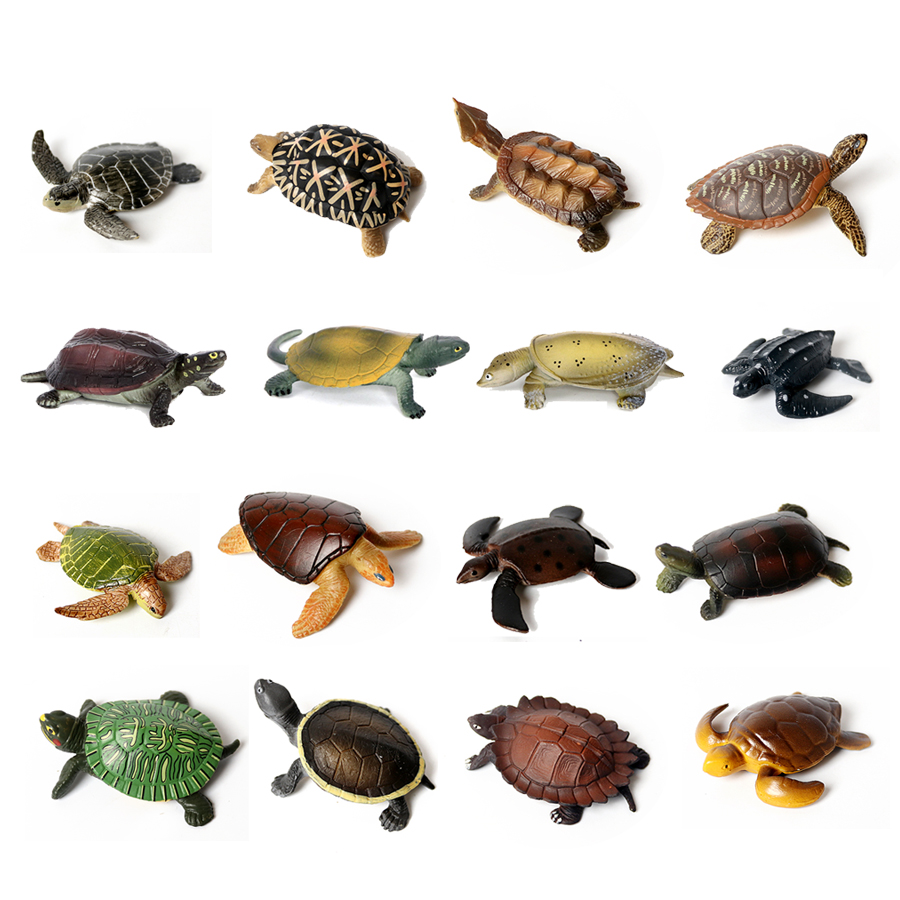 현실적인 미니어처 해양 생물 바다 거북이 모델, 해양  - Marine Aquarium Decorations 리뷰 및 가격